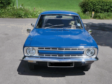 Morris Marina
