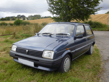 Rover Metro