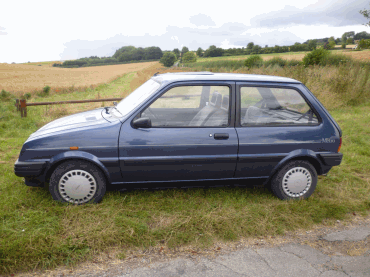 Rover Metro
